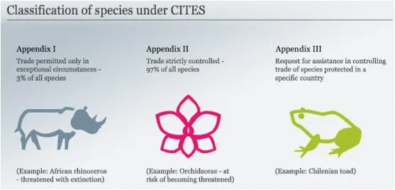 If Only: classification of species under CITES