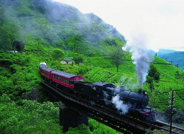 A train moving through tea plantations